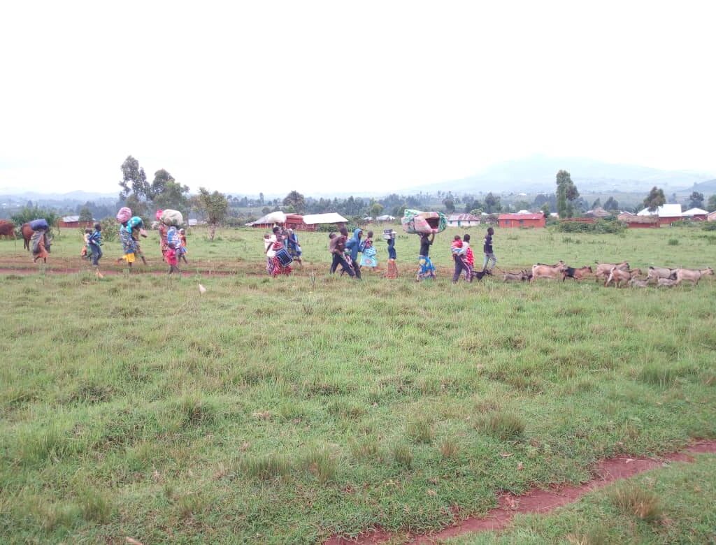 Membres d'une communauté rurale se déplaçant avec un troupeau de bovins sur un chemin de terre, illustrant les moyens de subsistance et la résilience face aux difficultés.