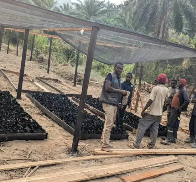 plantation des plante Jeunes Solutions